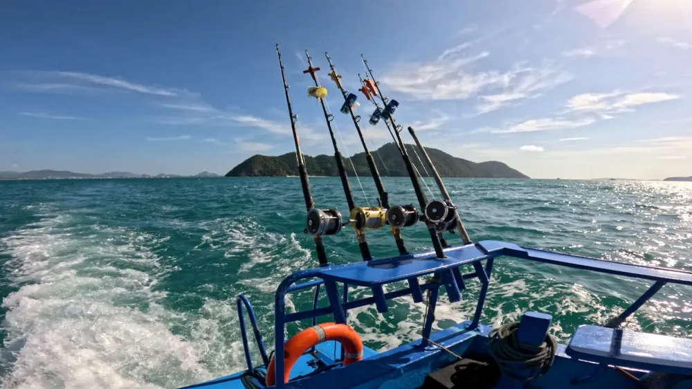 bateau peche plaisance